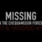 Missing In The Chequamegon Forest (The Missing 411)
