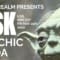 Ask Psychic Yoda
