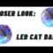 Closer Look: LED Cat Ball