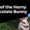 Day of the Horny Chocolate Bunny